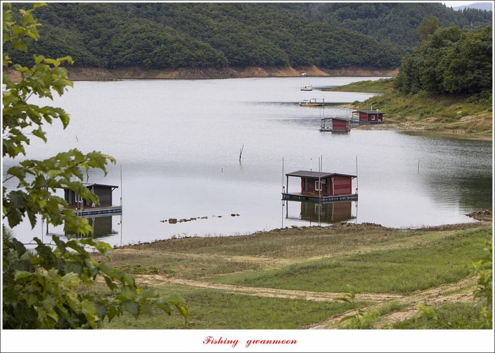 충주호 오름수위화곡지 조황 (조황조행기 - 특파원조황)