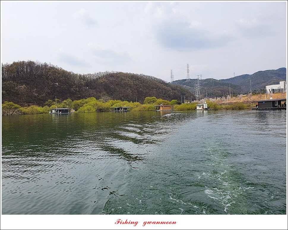 한버들 4 짜노지39 cm화곡지 사짜 조황 (조황조행기 - 특파원조황)