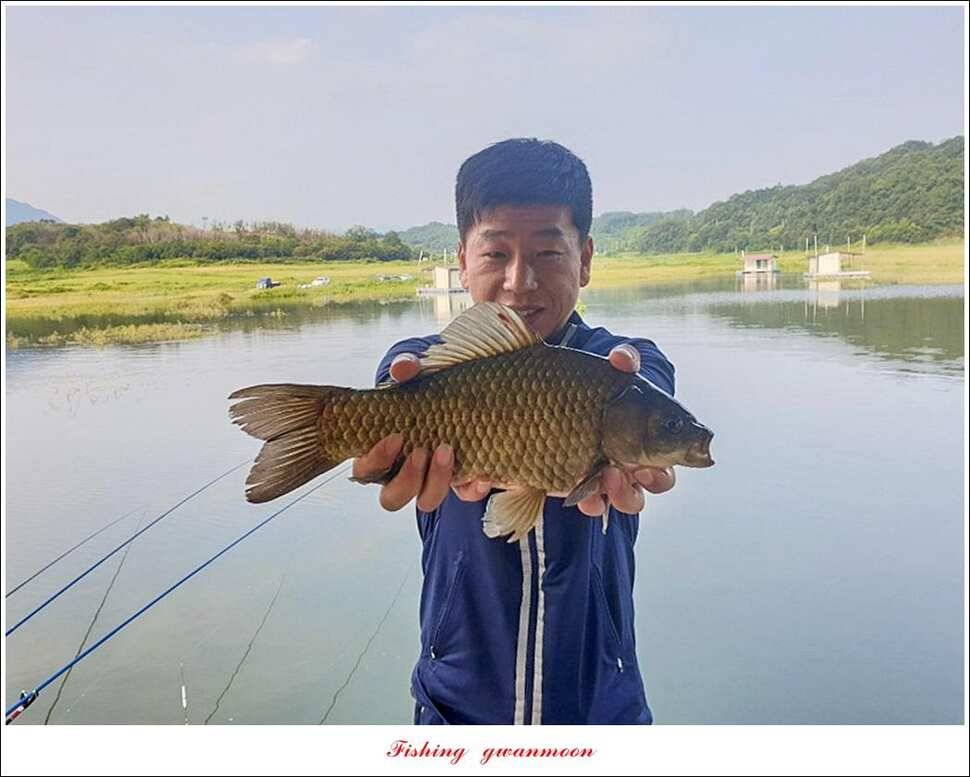 제일돌감 월척 조황 (조황조행기 - 특파원조황)