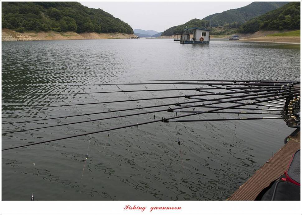목벌 4 짜 조황 (조황조행기 - 특파원조황)