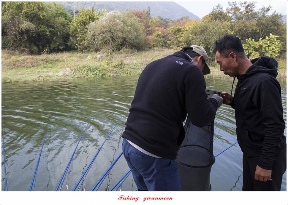돌감 4 짜솔 39 cm38 cm마릿수 월척 조황 (조황조행기 - 특파원조황)