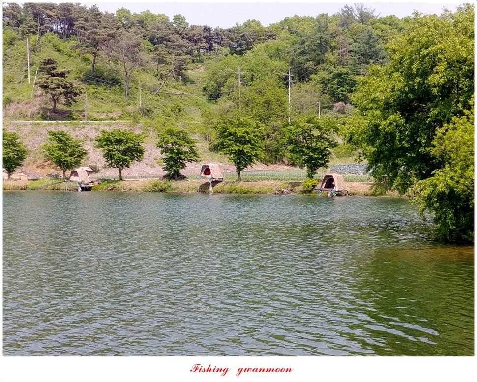 달천강화곡지 사짜칠성지 사짜 조황 (조황조행기 - 특파원조황)