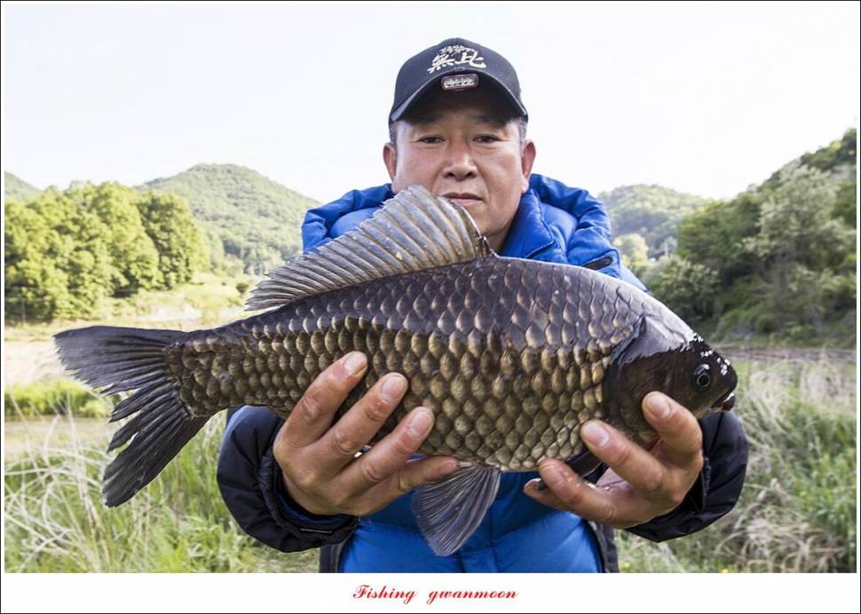목벌 43 cm37 cm소류지 4 짜솔 낚시터 월척화곡지 대물 조황 (조황조행기 - 특파원조황)