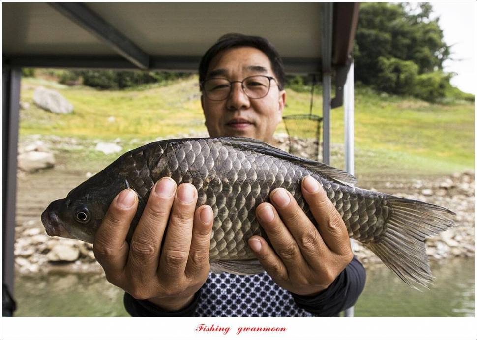 목벌 42 cm42 cm39 cm38 cm 대물 조황 (조황조행기 - 특파원조황)