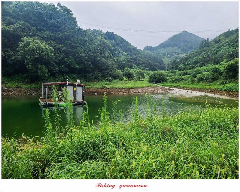 충주호 만수위 및 신리 4 짜 대물 조황 (조황조행기 - 특파원조황)