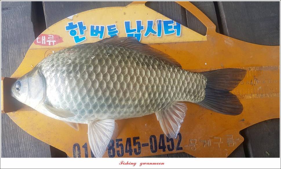 신리 4 짜 7 수실리곡 4 짜 4 수한버들 4 짜 3 수 (조황조행기 - 특파원조황)