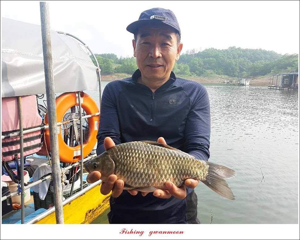 실리곡 4 짜돌감 395 cm칠성지 4 짜 (조황조행기 - 특파원조황)