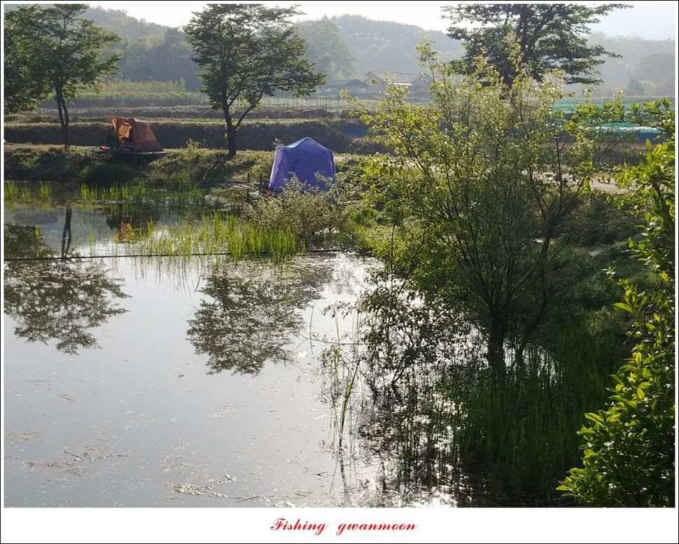 제일 월척칠성지 대물 조황 (조황조행기 - 특파원조황)