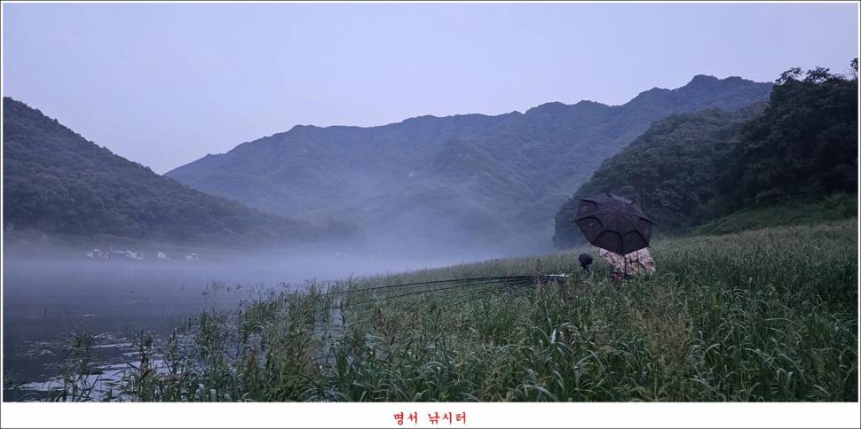 제일 낚시터 대박 조황명서 낚시터 호조황 (조황조행기 - 특파원조황)