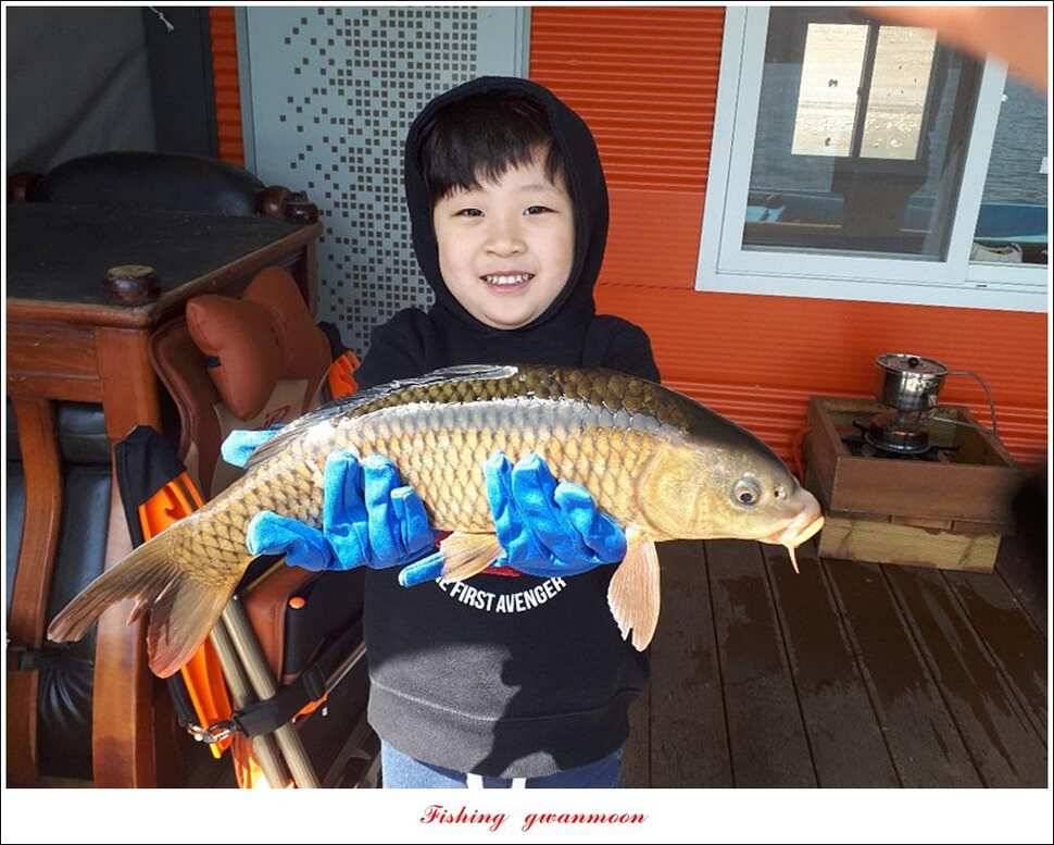 제일 39 cm 대물 조황화곡지칠성지 조황 (조황조행기 - 특파원조황)