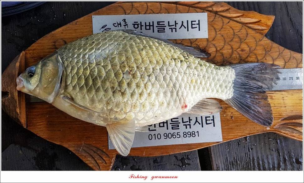 한버들 4 짜목벌 4 짜화곡지 4 짜달천강 4 짜 (조황조행기 - 특파원조황)
