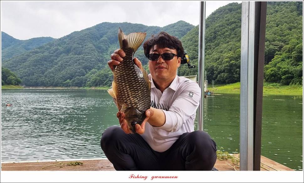 명서 4 짜한버들 4 짜화곡지 호조황 (조황조행기 - 특파원조황)