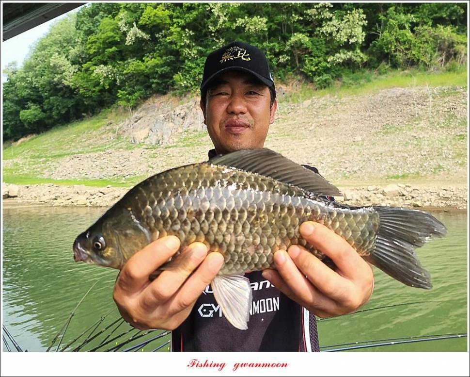 목벌 43 cm37 cm소류지 4 짜솔 낚시터 월척화곡지 대물 조황 (조황조행기 - 특파원조황)