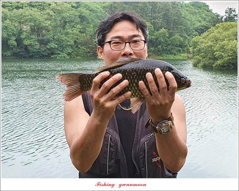 제일 43 cm40 cm화곡지 4 짜 조황 (조황조행기 - 특파원조황)