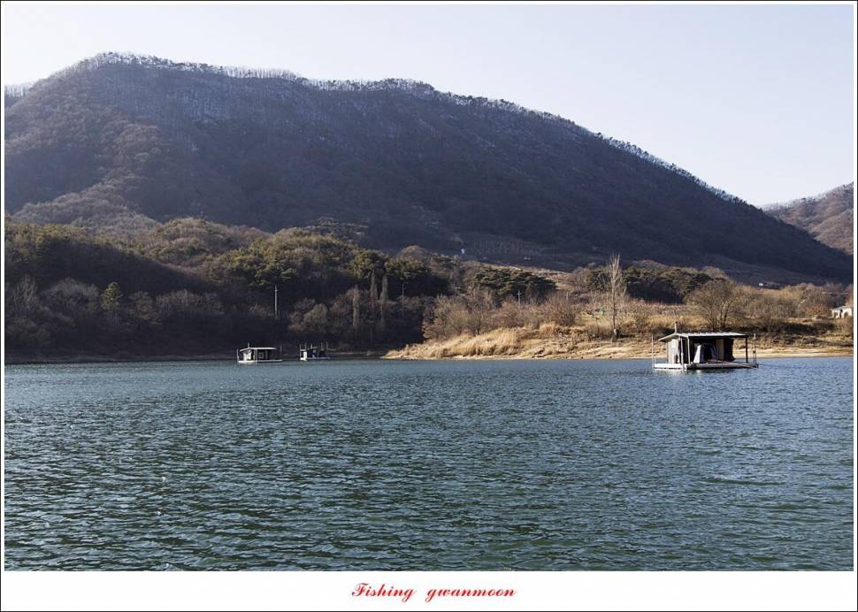 솔 385 cm 외 돌감 월척 조황 (조황조행기 - 특파원조황)