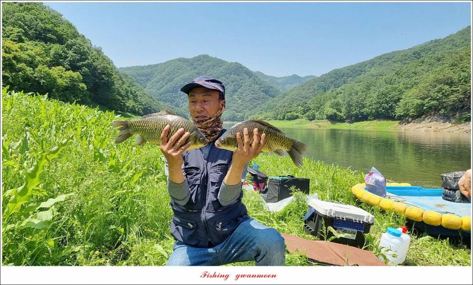 명서 43 cm 대물 및 4 짜 마릿수 조황 (조황조행기 - 특파원조황)