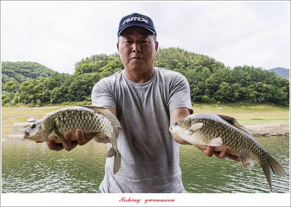 한버들 4 짜목벌 4 짜화곡지 4 짜달천강 4 짜 (조황조행기 - 특파원조황)