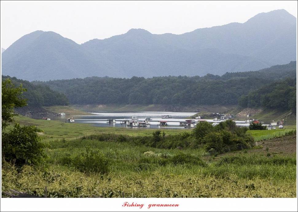 제일 4 짜 2 수돌감 4 짜목벌 4 짜 조황 (조황조행기 - 특파원조황)