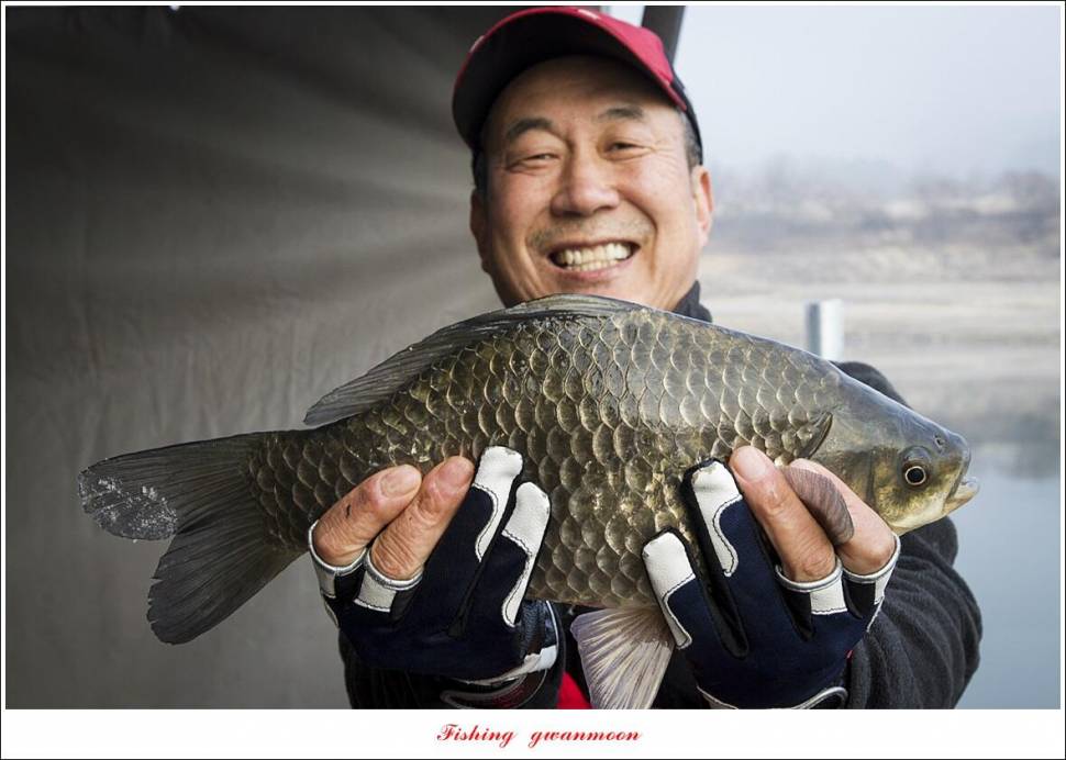 솔 39 cm32 cm돌감 34 cm 월척 조황 (조황조행기 - 특파원조황)