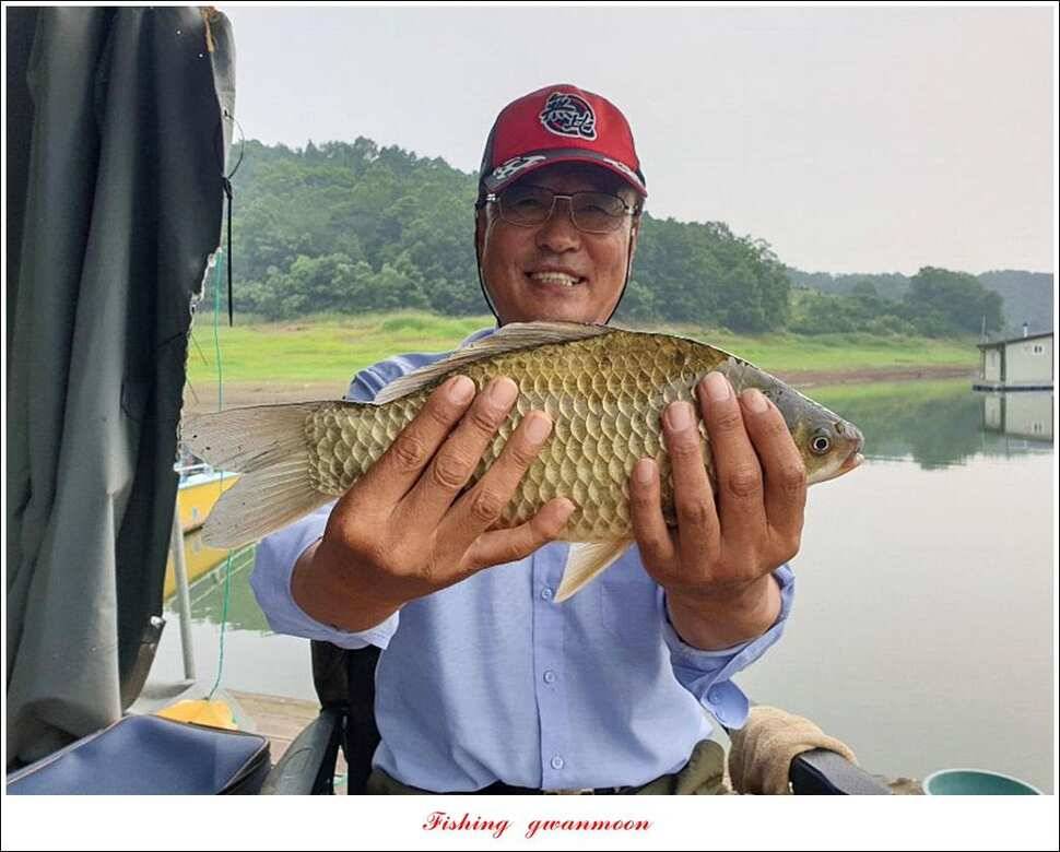 제일 40 cm37 cm 대물 조황 (조황조행기 - 특파원조황)