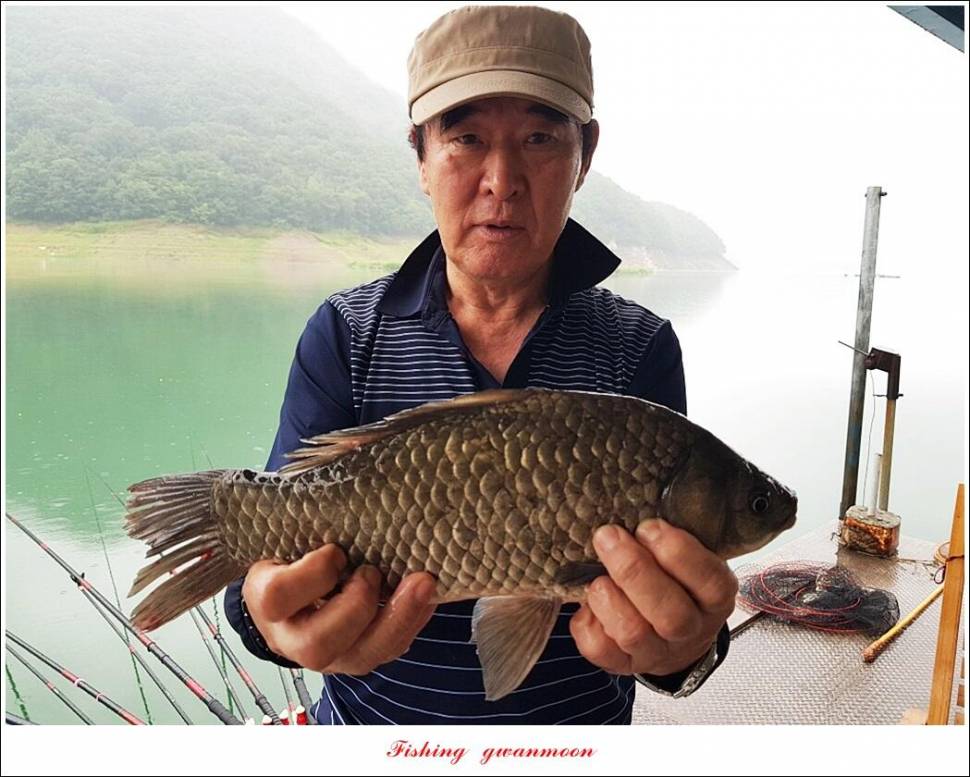 충주호 2 차 오름수위명서목벌화곡지 조황 (조황조행기 - 특파원조황)