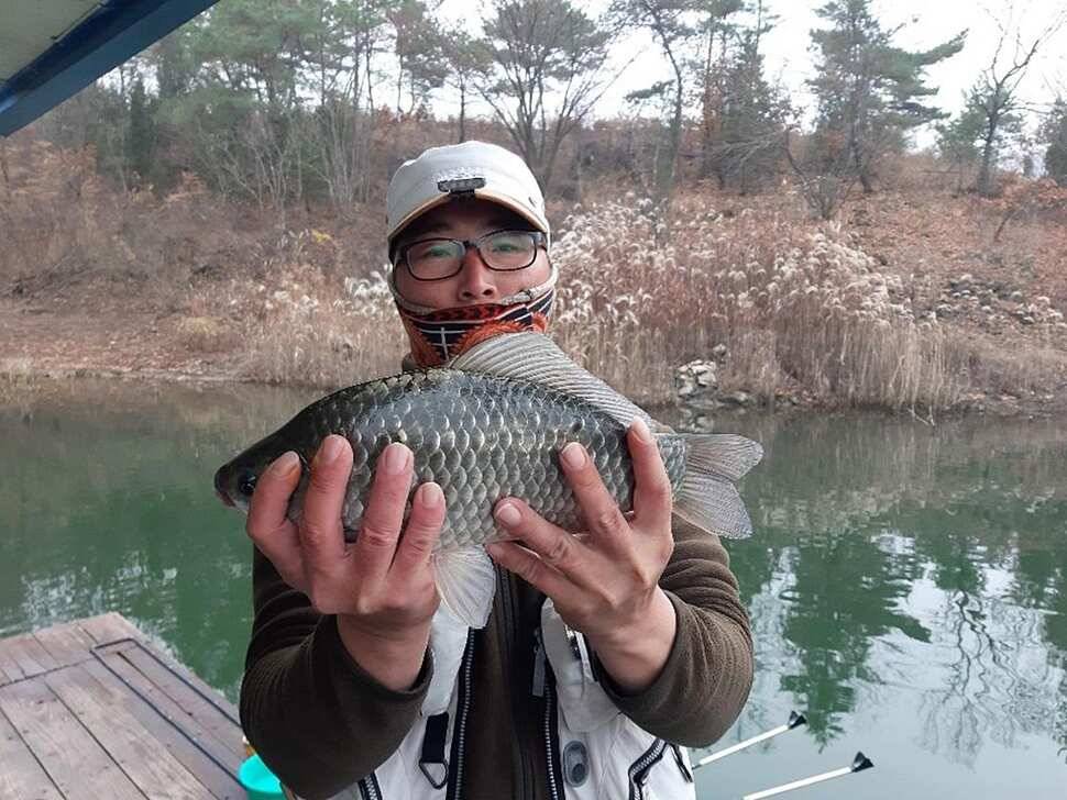 돌감제일 월척 조황 (조황조행기 - 특파원조황)