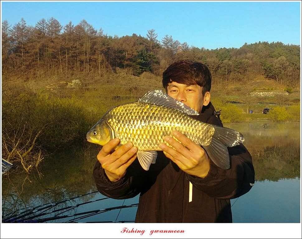 칠성지 44cm405 cm검단수로 41cm 조황 (조황조행기 - 특파원조황)