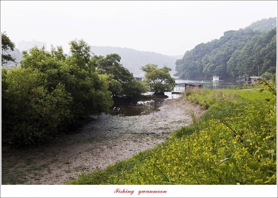 솔 낚시터 4 짜화곡지 4 짜 및 월척 조황 (조황조행기 - 특파원조황)