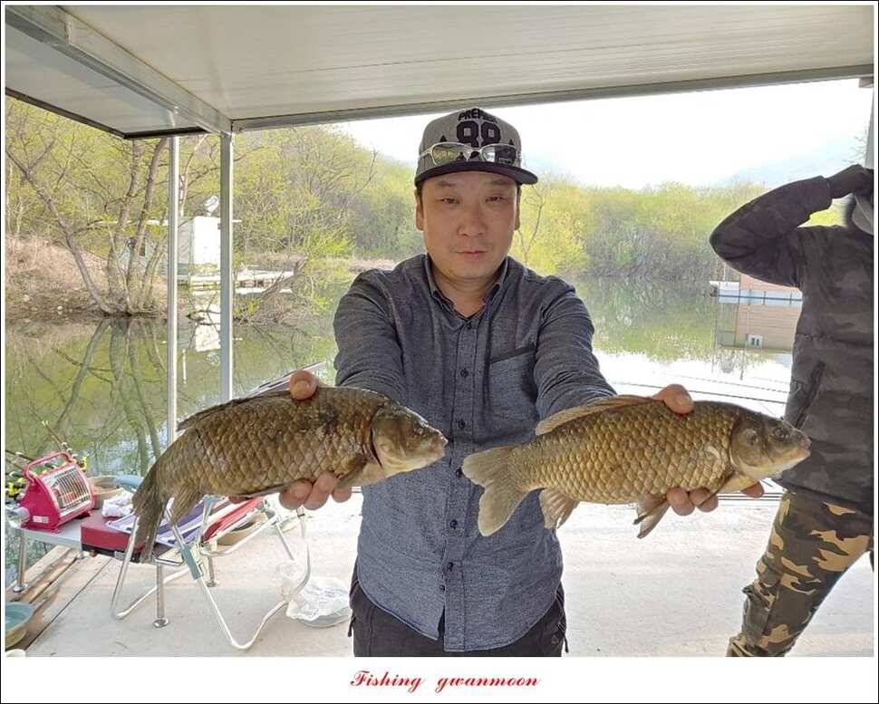 제일 39 cm 대물 조황화곡지칠성지 조황 (조황조행기 - 특파원조황)