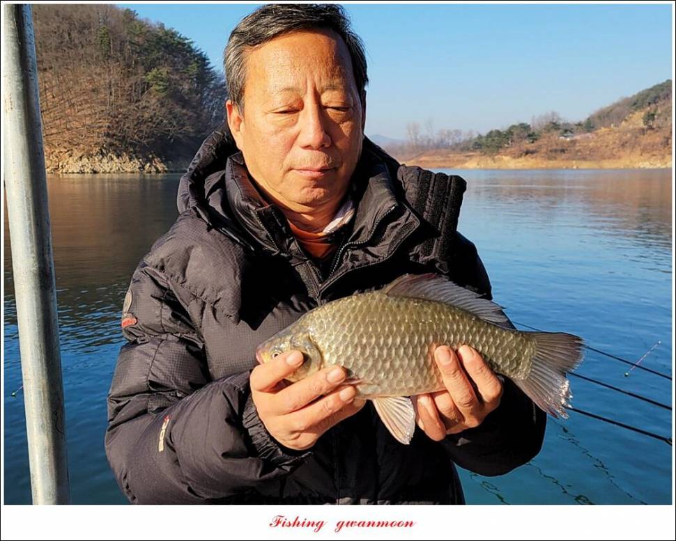 한버들 왕중왕전 대회신리 465 cm 대물 돌감 37 cm34 cm월척 조황 (조황조행기 - 특파원조황)
