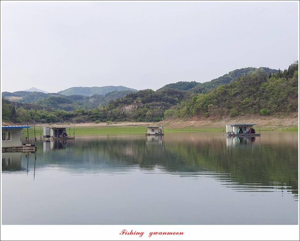 돌감충주호 노지칠성지한버들실리곡신리 4 짜 조황 (조황조행기 - 특파원조황)