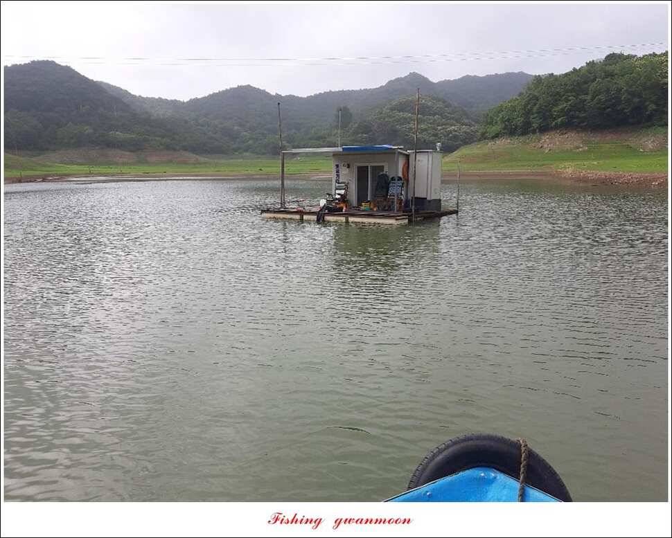 돌감 좌대칠성지 월척 달천강 사짜 및 월척 조황 (조황조행기 - 특파원조황)