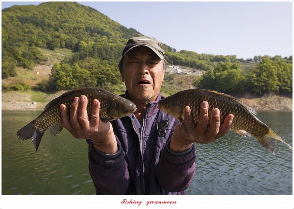 추평지 4 짜화곡지 4 짜칠성지 4 짜목벌 마릿수 월척 (조황조행기 - 특파원조황)