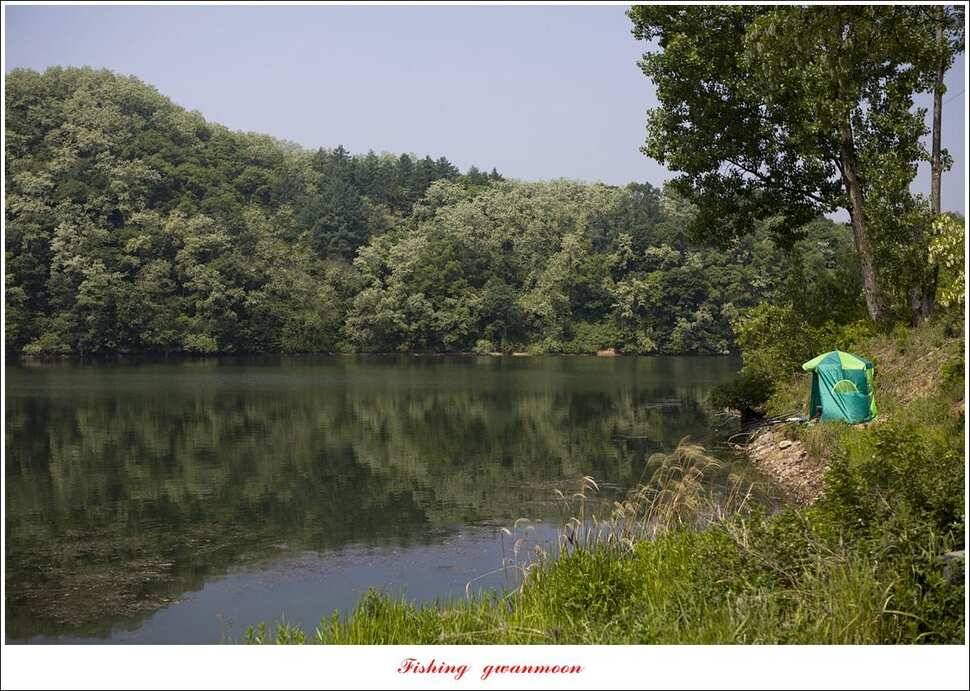 추평지 47 cm화곡지칠성지 조항 (조황조행기 - 특파원조황)