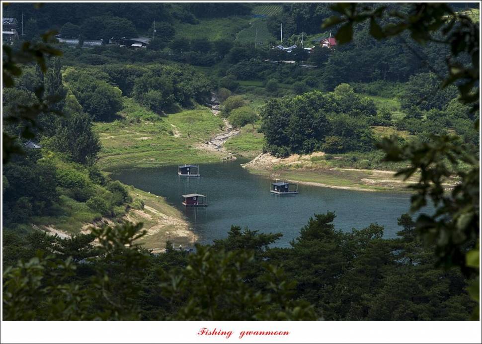 솔 4 짜 및 월척 조황 (조황조행기 - 특파원조황)
