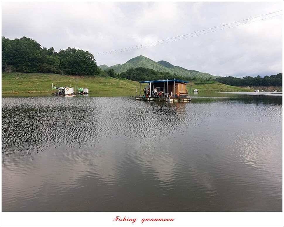 제일 4 짜신매 4 짜돌감 대형 향어 및 월척 조황 (조황조행기 - 특파원조황)