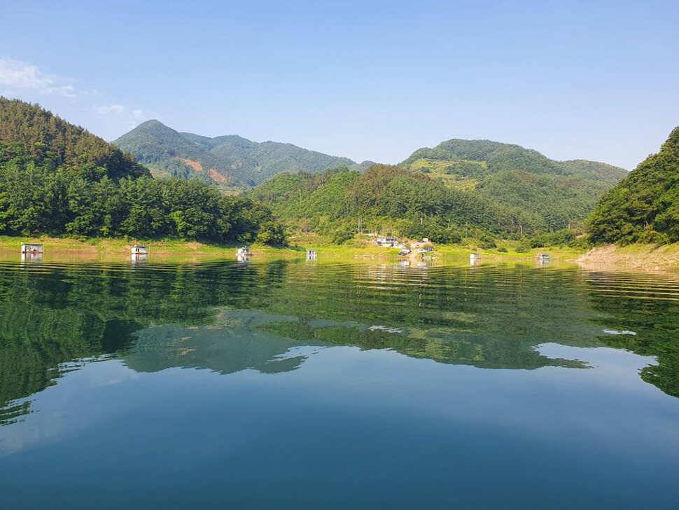 하천 4짜에 마릿수도 대박목벌도 4짜명서에도 꾸준한 조황 (조황조행기 - 특파원조황)