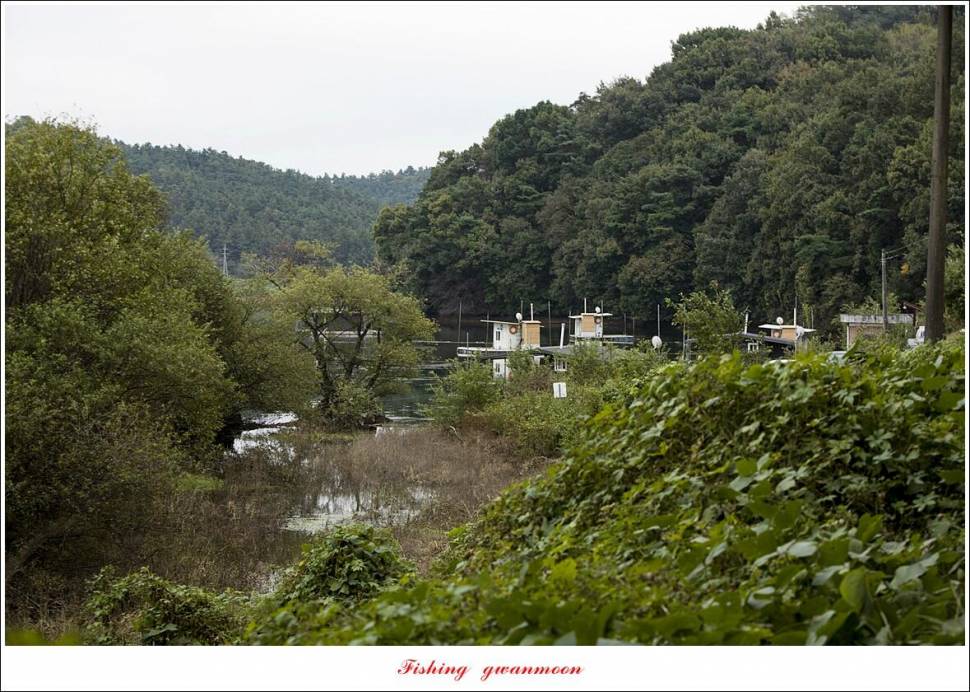 이스케이프 납회용원지화곡지 4 짜 조황 (조황조행기 - 특파원조황)