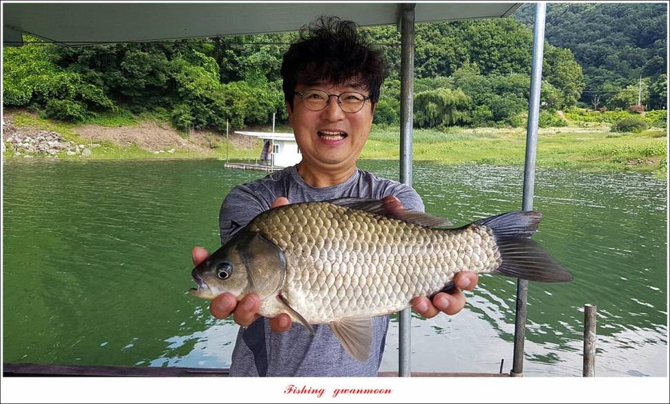 명서 4 짜한버들 4 짜화곡지 호조황 (조황조행기 - 특파원조황)