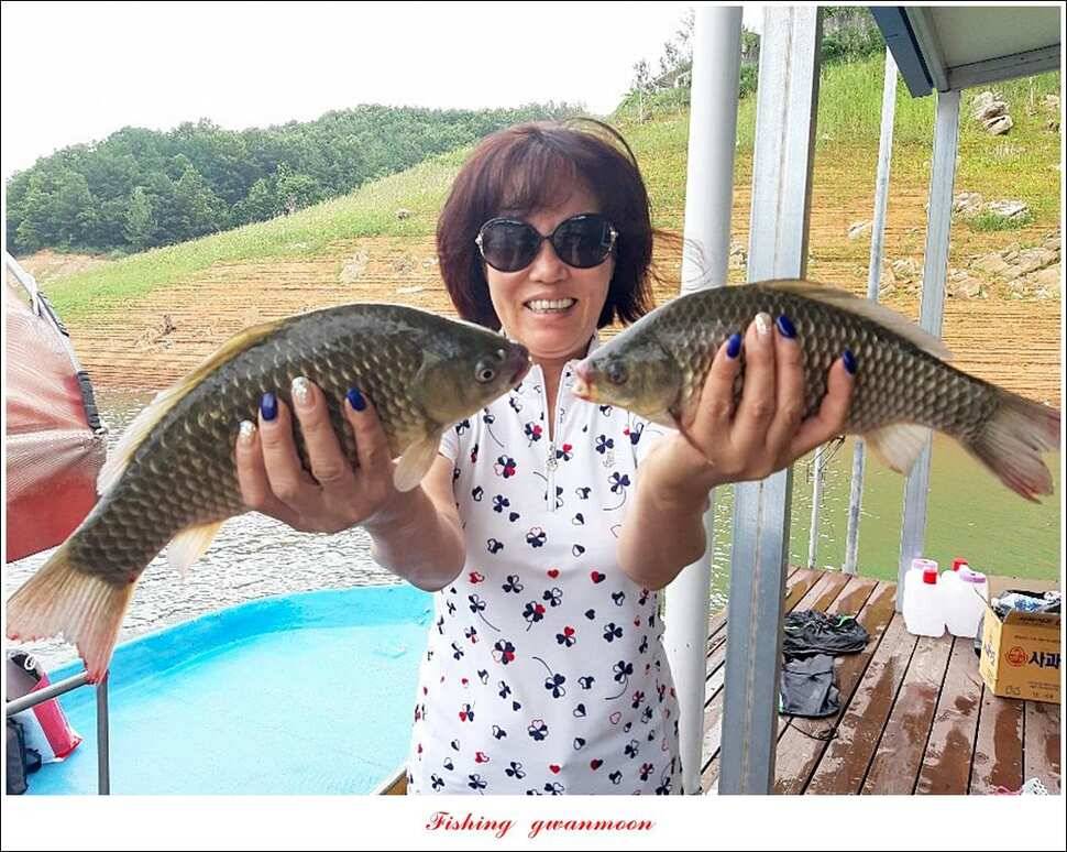 늘푸른 월척키로장어신매 월척돌감 월척 조황 (조황조행기 - 특파원조황)