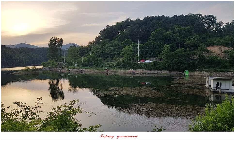 돌감 39393736 cm늘푸른 허리급화곡지 월척 조황 (조황조행기 - 특파원조황)