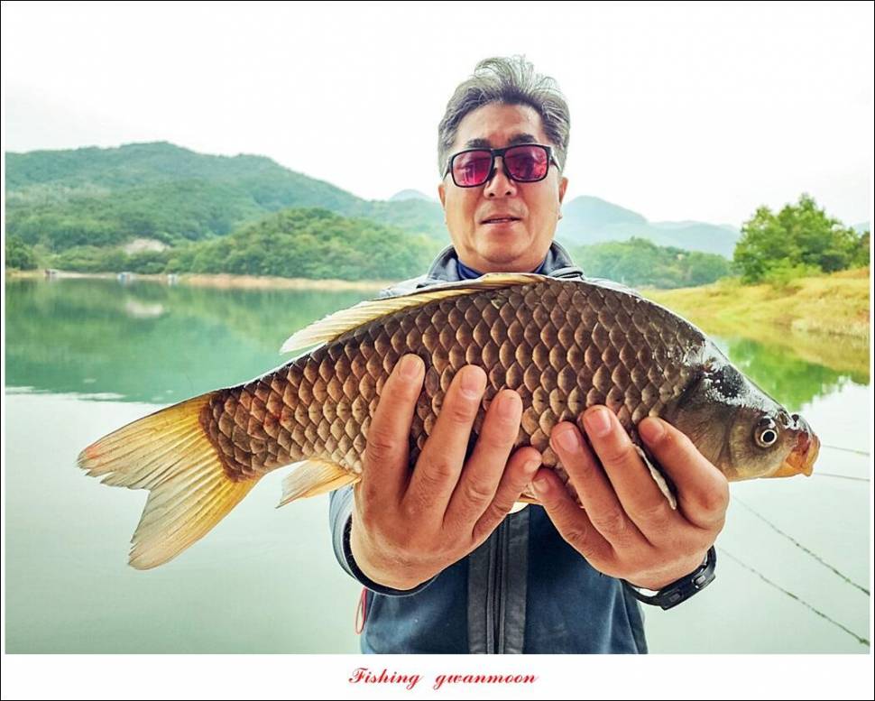 돌감 최대어 이벤트한버들 허리급 월척 조황 (조황조행기 - 특파원조황)