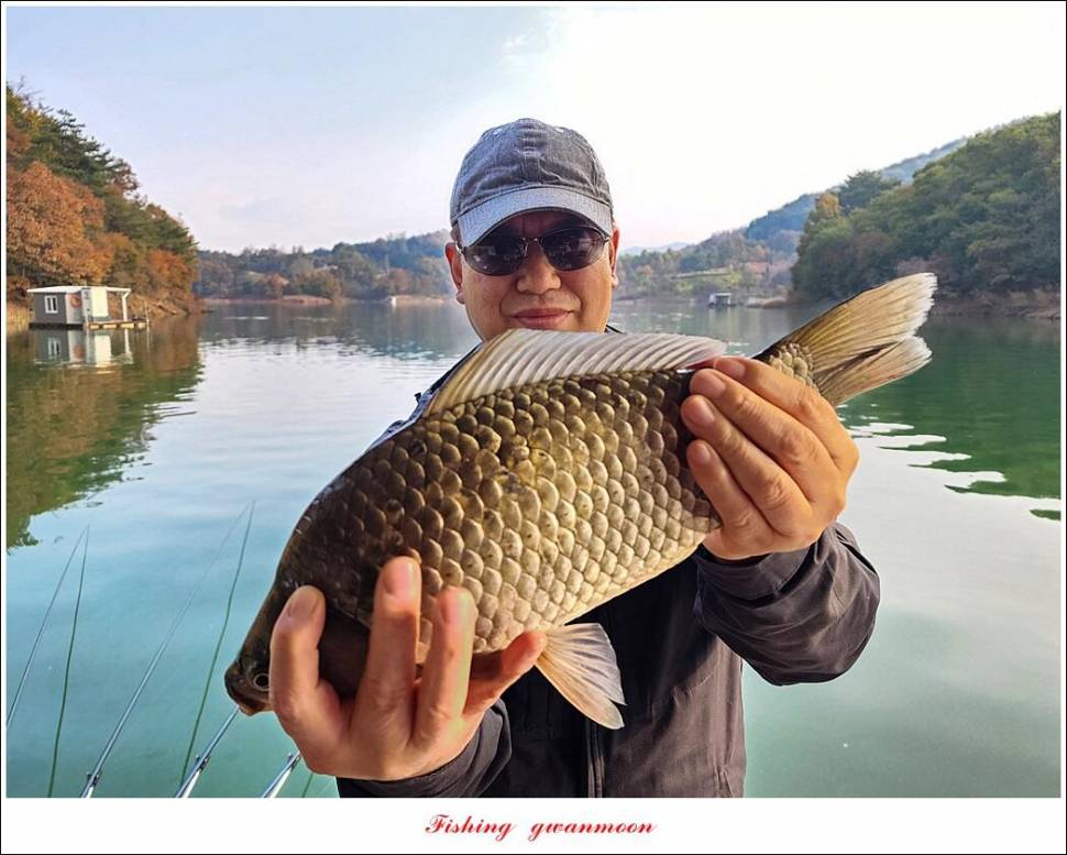 돌감 4 짜솔 39 cm38 cm마릿수 월척 조황 (조황조행기 - 특파원조황)
