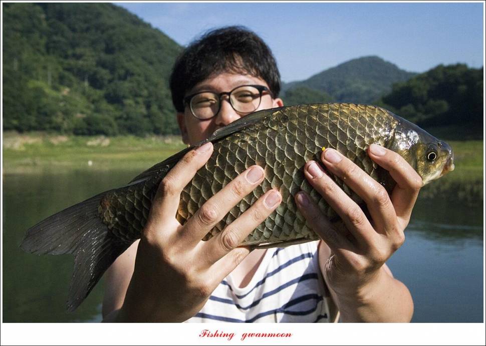 명서 노지사오리소이지 4 짜 및 월척 호조황 (조황조행기 - 특파원조황)