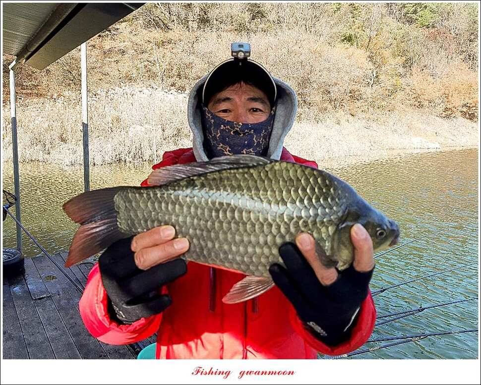 제일 405 cm돌감 386 cm 대물 조황 (조황조행기 - 특파원조황)