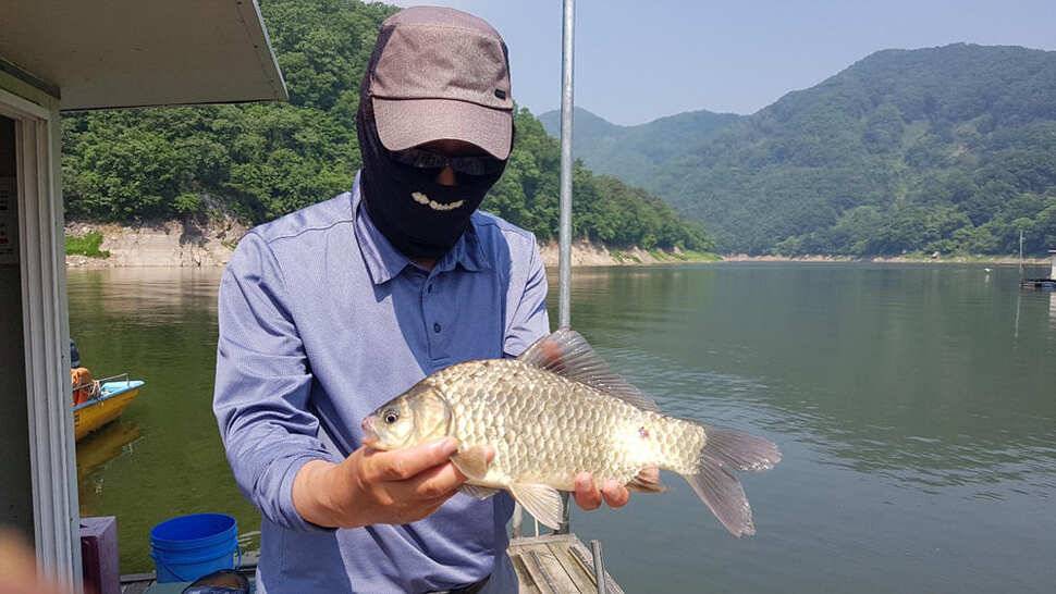 하천 4짜에 마릿수도 대박목벌도 4짜명서에도 꾸준한 조황 (조황조행기 - 특파원조황)