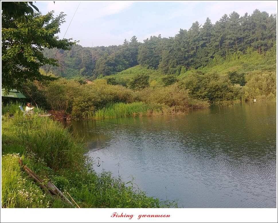 제일 4 짜 및 마릿수 대물칠성지 4 짜 및 마릿수 조황 (조황조행기 - 특파원조황)