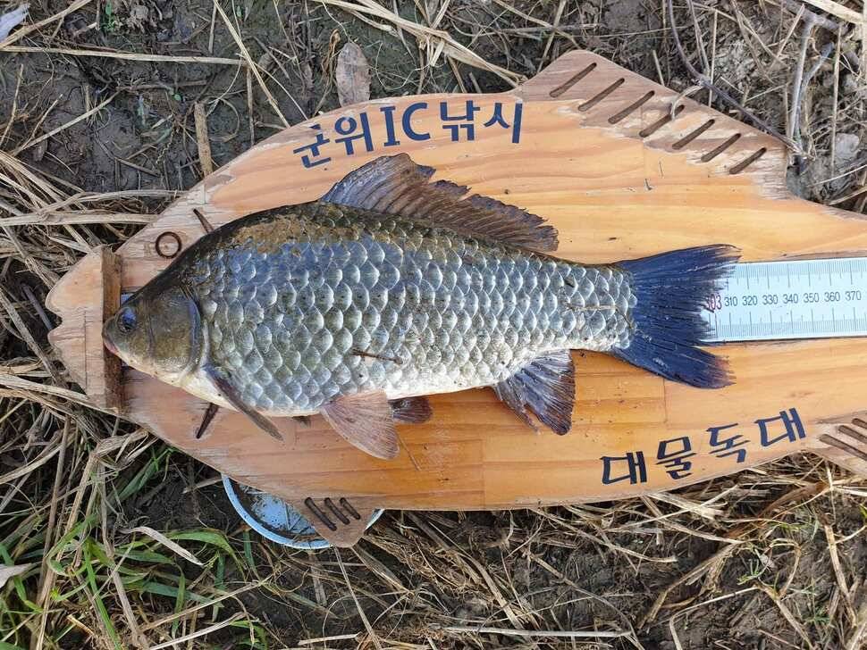 어마무시한 대박조황 (조황조행기 - 특파원조황)