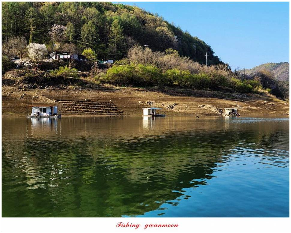실리곡돌감 월척 조황 (조황조행기 - 특파원조황)