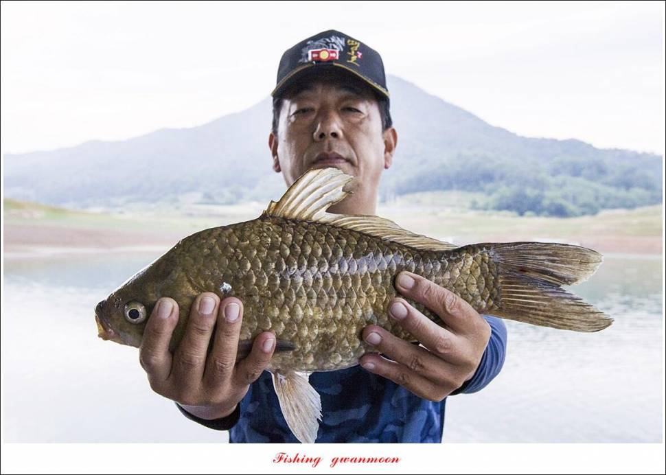 한버들 43 cm목벌 4 짜 2 수솔 낚시터사오리 월척 조황 (조황조행기 - 특파원조황)